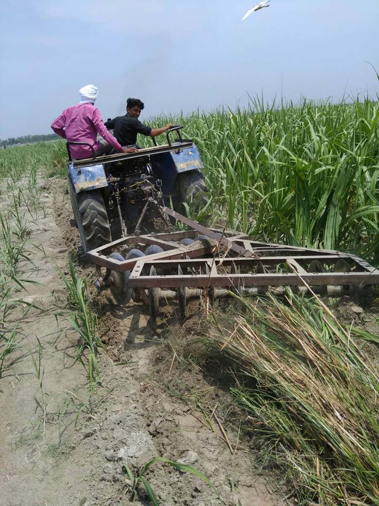 इस बार 15 फीसदी बढे़ंगे धान खरीद केंद्र
