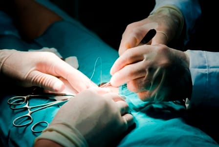 Reproductive organs of women found in the body of a young man