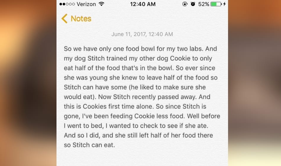 this dog always leaves its half food for someone, know here who it is