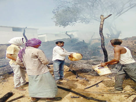 Fire in the enclosure, ash ash, cattle scorched