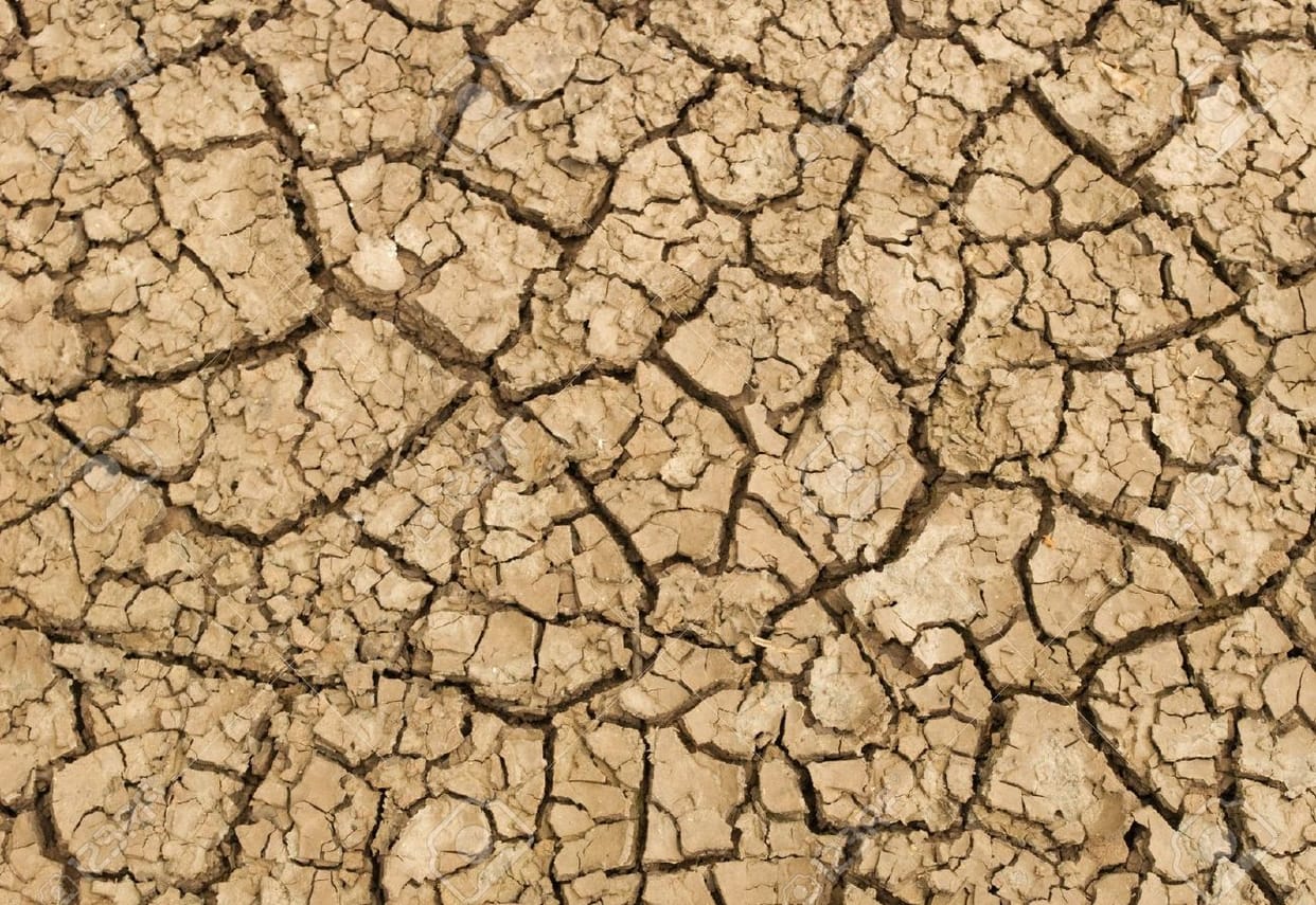 arable land in punjab getting alkaline