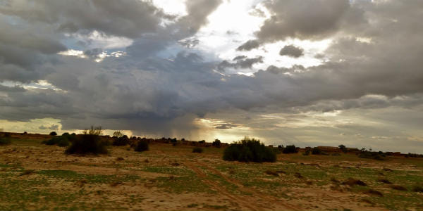 heavy rainfall recorded in sriganganagar and hanumangarh district of rajasthan