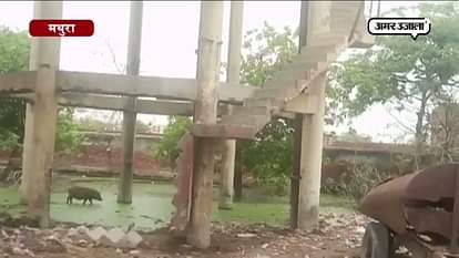 WATER TANK IN MATHURA IN BAD STATE, CAN FALL ANYTIME
