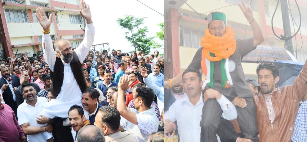 municipal corporation shimla election results 7 candidates won second time