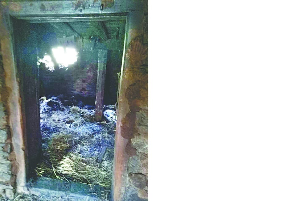 70 firefighters, 17 goats burnt alive after fire