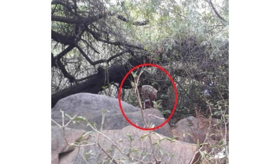  husband brutally killed wife in family dispute delhi crime news