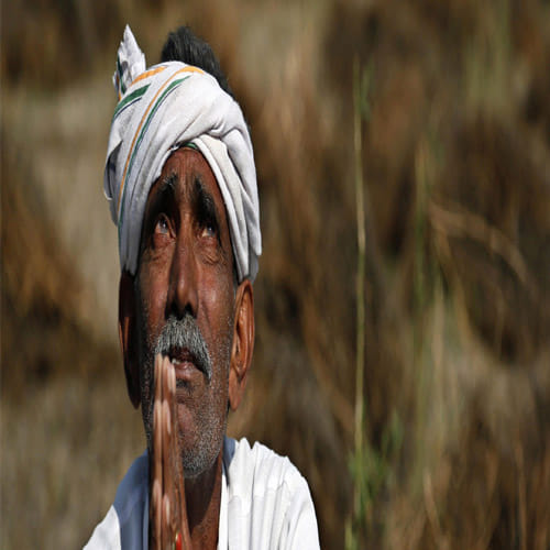 a farmer letter to son 