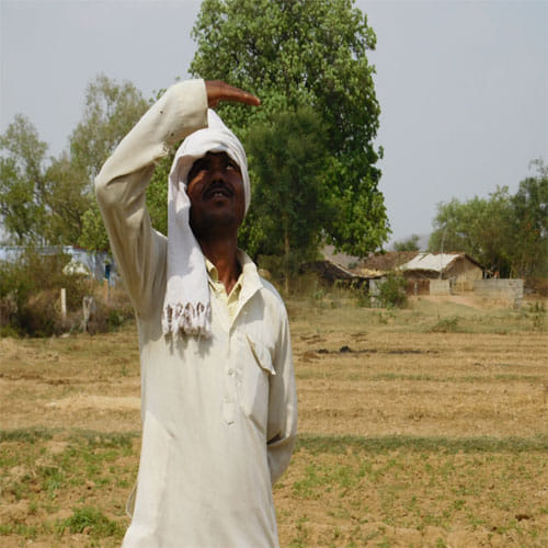 a farmer letter to son 