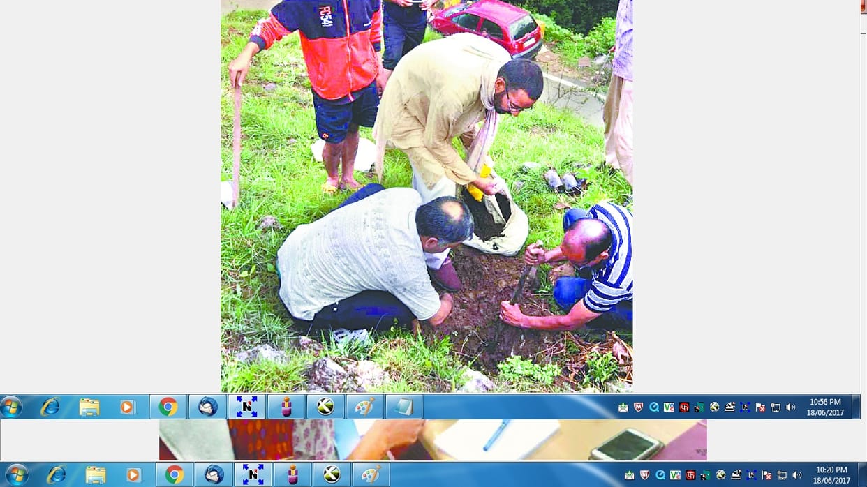 plantation begins at mansa devi