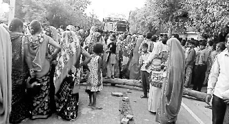 Maoosam crossing the road crushed, truck killed