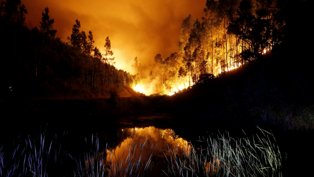 Huge Portugal forest blaze kills 57