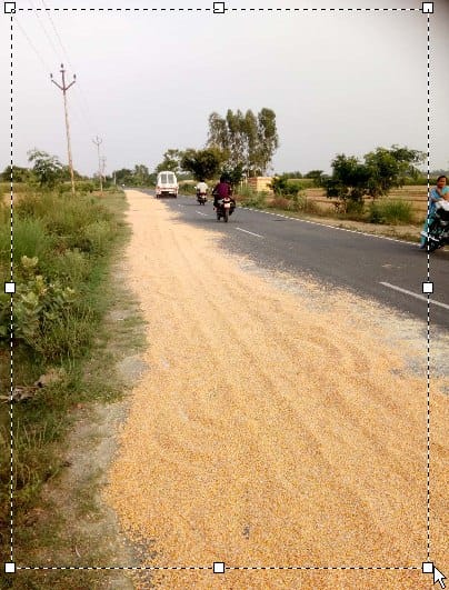 Just be careful, maize is drying on the road