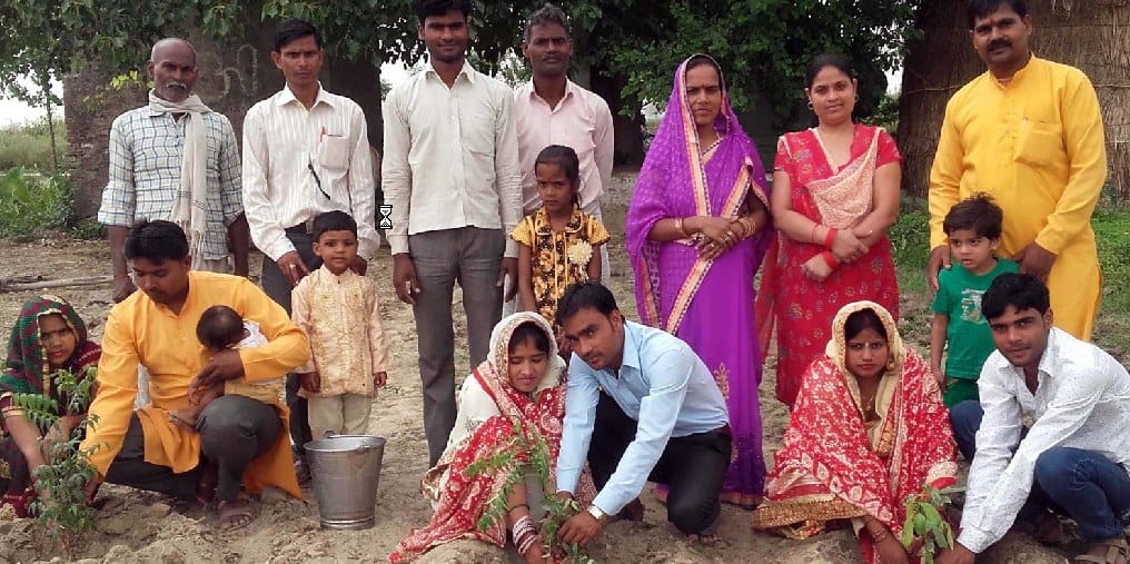 Newly married plants planted