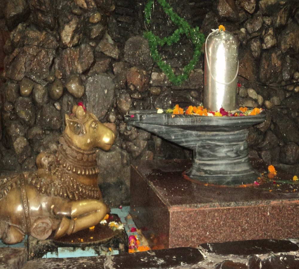 worship these five type of shiv puja always get profit