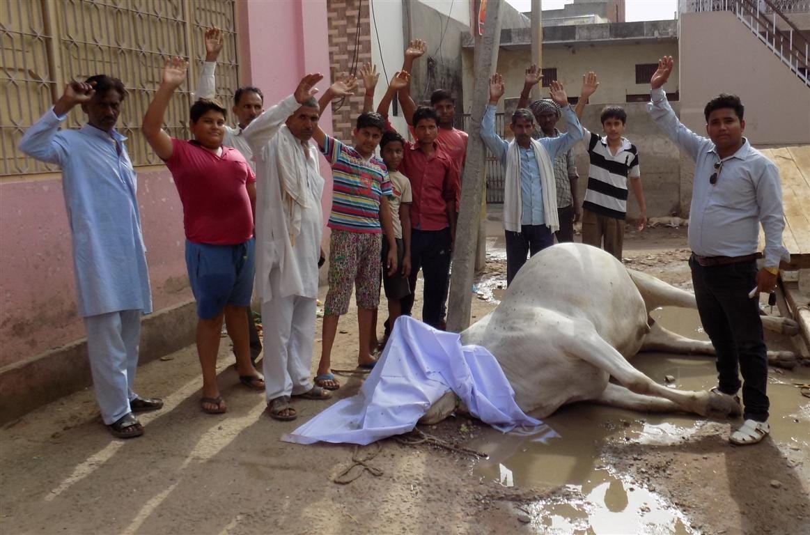 Flurries, flare up at four animals death in Hathras