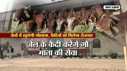 Yogi government planning to open gaushala in uttar Pradesh jail 