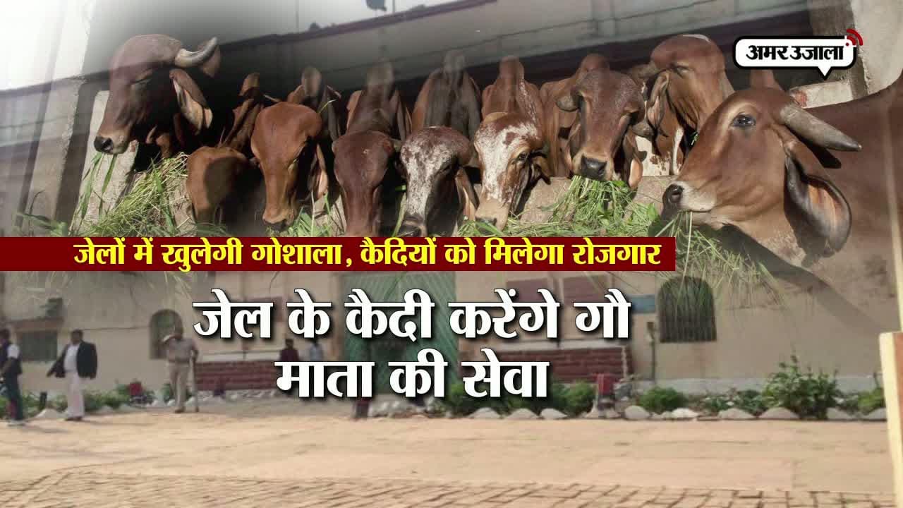 गोशाला, उत्तर प्रदेश, योगी सरकार 