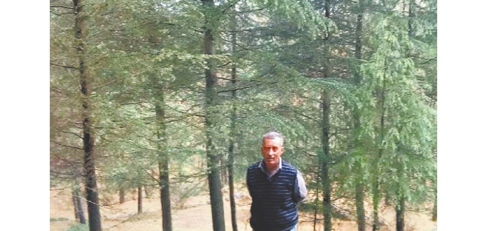 The Man Who Has Planted ten thousand deodar tree on his own land 