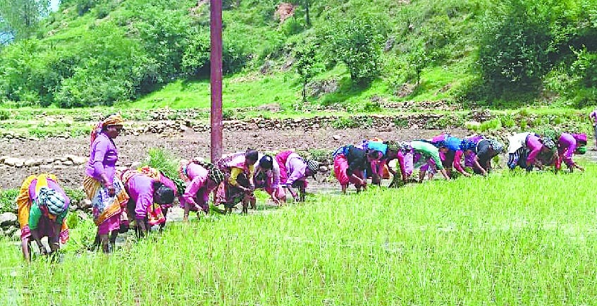  Damaged head of canals in the Bauraro valley did not repair