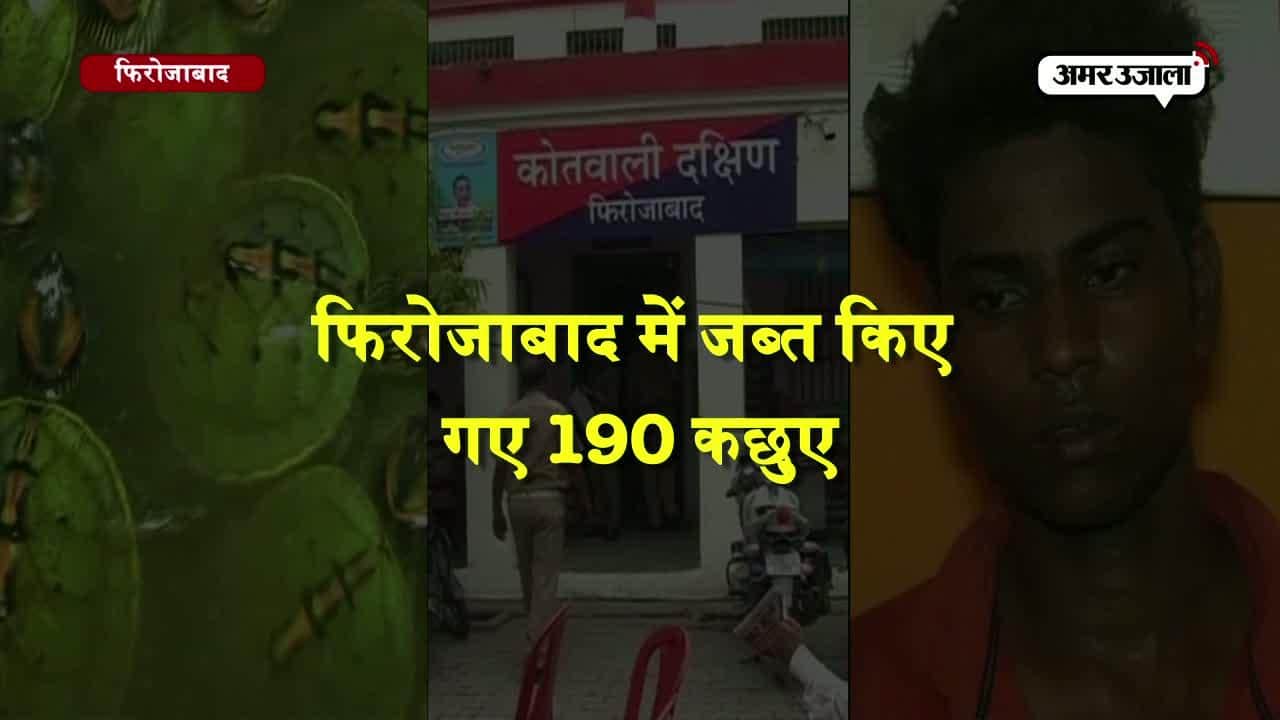 कछुए की तस्करी 