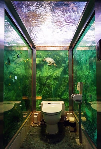 Unusual  Toilets from across the globe in pictures