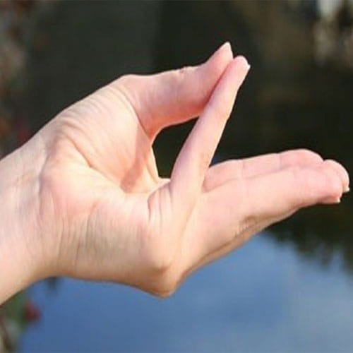 yoga day special-your health at your finger tips 