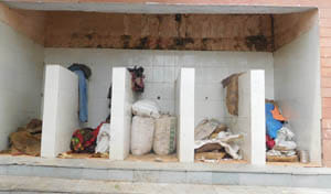 toilet's captured