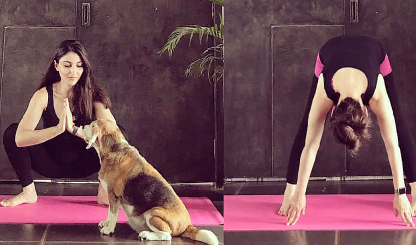 viral video: Soha Ali Khan took the stairs, 'but not in the usual way'