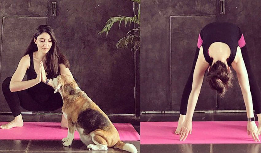 viral video: Soha Ali Khan took the stairs, 'but not in the usual way'