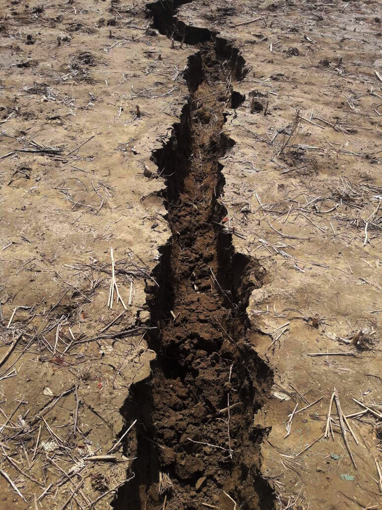 in bah area of agra land cracked after heavy sound
