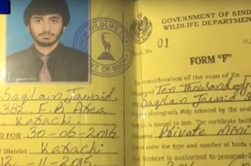 In this viral video Watch how Man in Pakistan Takes pet Lioness in busy traffic