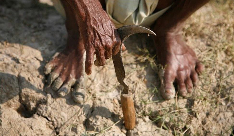mp farmer protest six farmers commit suicide within ten days
