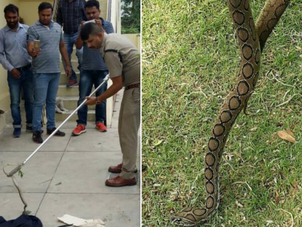 russel wiper rescue from home in dehradun