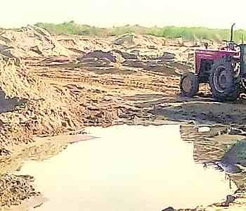  The son of the farmer was killed and buried dead body