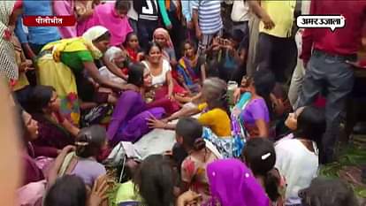 tiger kills villager in pilibhit near tiger reserve  