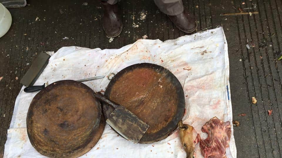 China’s dog meat festival opens despite ban rumours