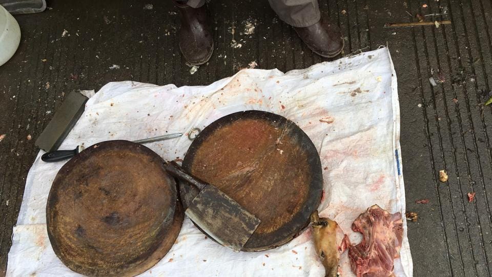China’s dog meat festival opens despite ban rumours