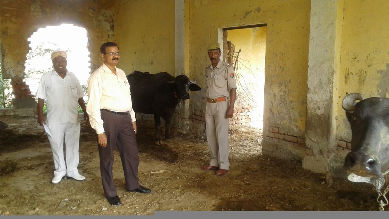 सरकारी भवनों में भरा मिला भूसा-लहसुन