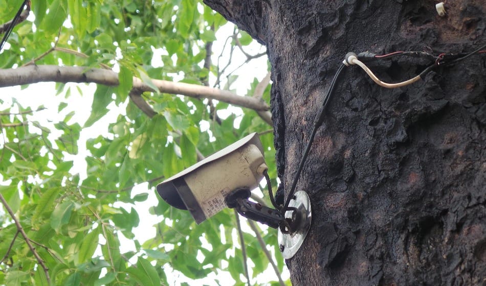 aam aadmi party set up cctv cameras on tree in party office