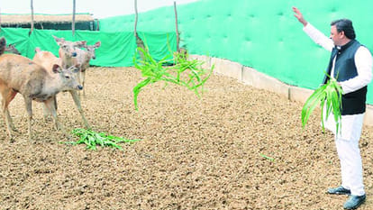 akhileshs dream project will be inaugurated by cm yogi