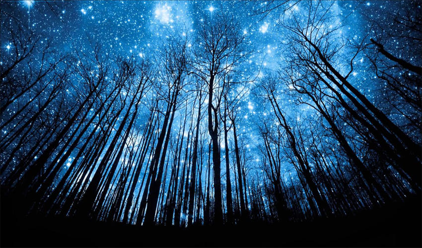 These dreams indicate to good news