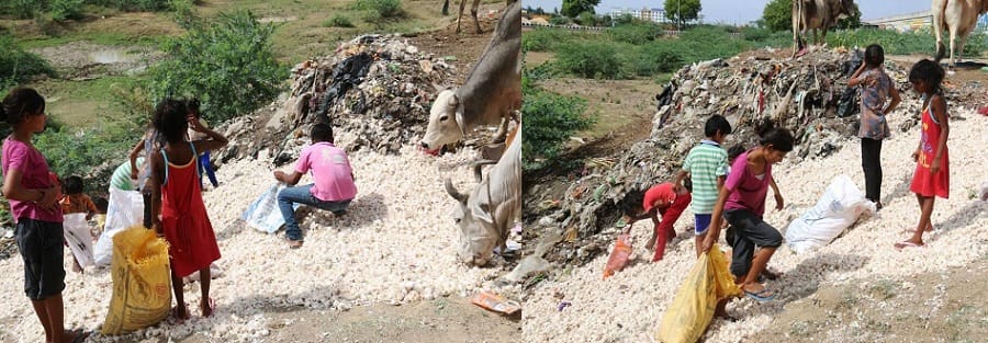 a farmer disposed off approx 20 quintals of garlic on a road in kota 