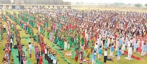 yog deves 