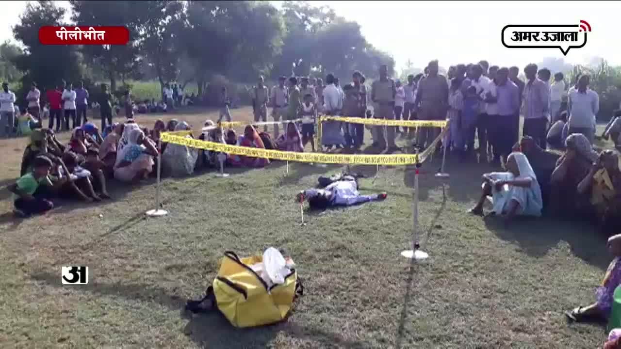 पीलीभीत 