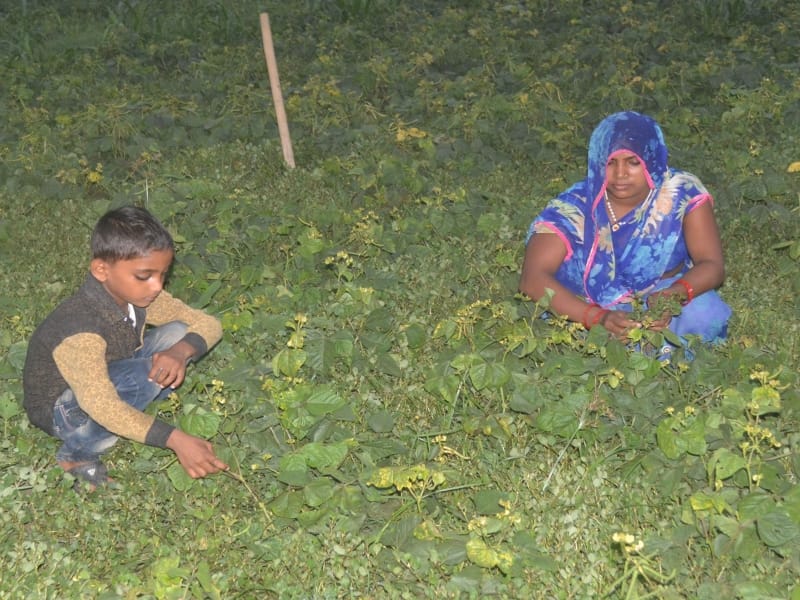 etah woman worked in field for the her children