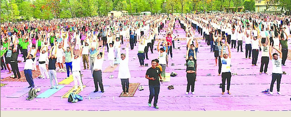 What is big, everything is in color of yoga