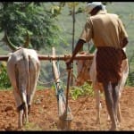 Niti Aayog Plan for farmers income double by 2022
