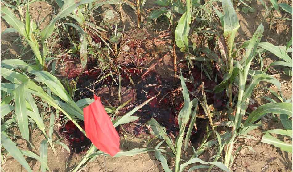 cople shot dead at bulandshahr highway just near the spot were mother daughter gang raped