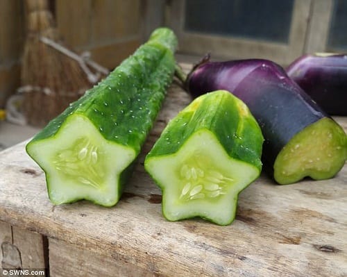 Chinese firm fruit mould is famous for growing strange fruits