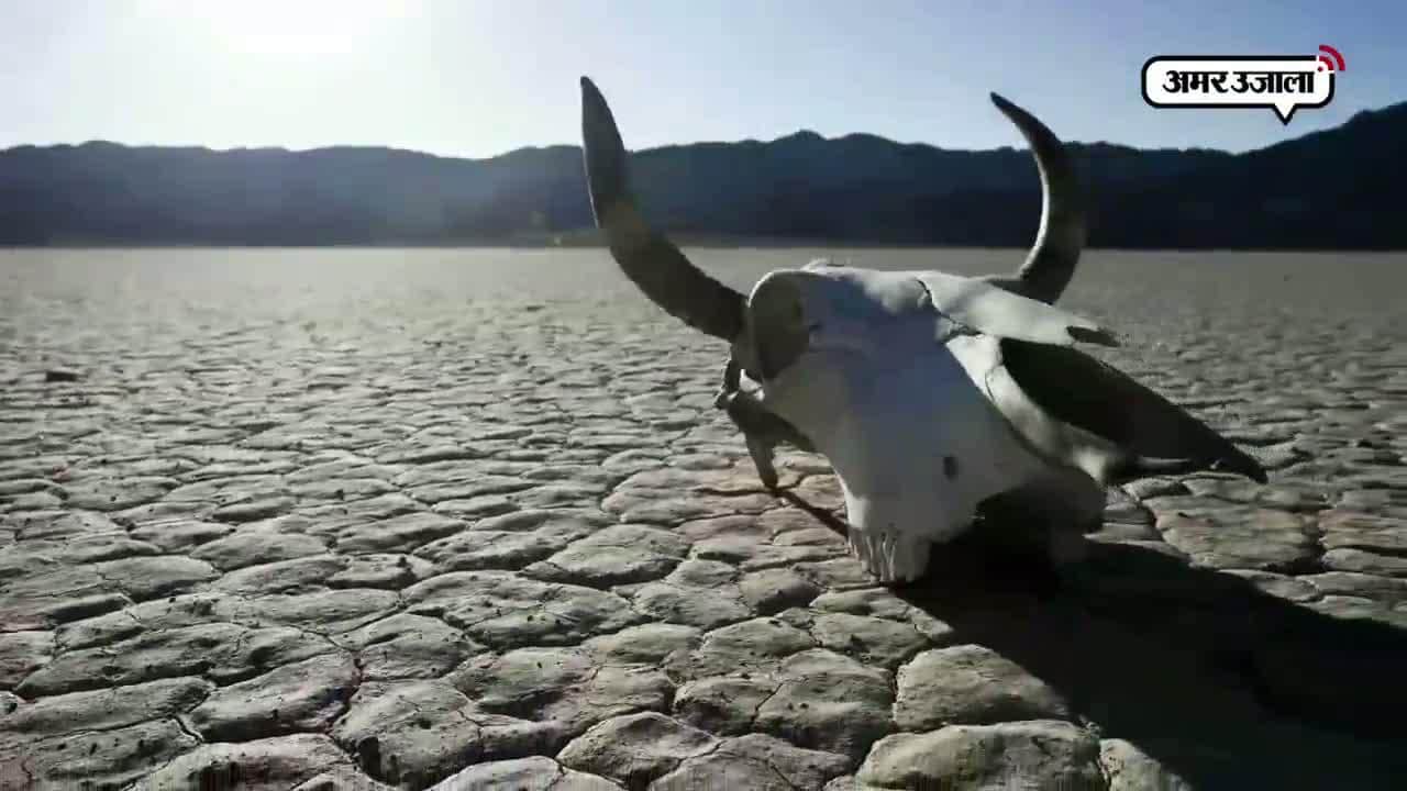 अमेरिका और यूरोप में गर्मी का कहर